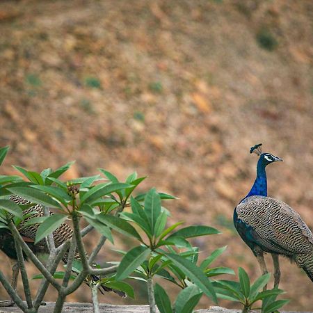Open House By Stayvista - Nestled In Nature, Featuring A Swimming Pool & Expansive Lawn For A Serene Retreat Shikrapur Buitenkant foto